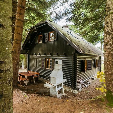 Chalet Liza & Rozi Zgornja Loznica Buitenkant foto