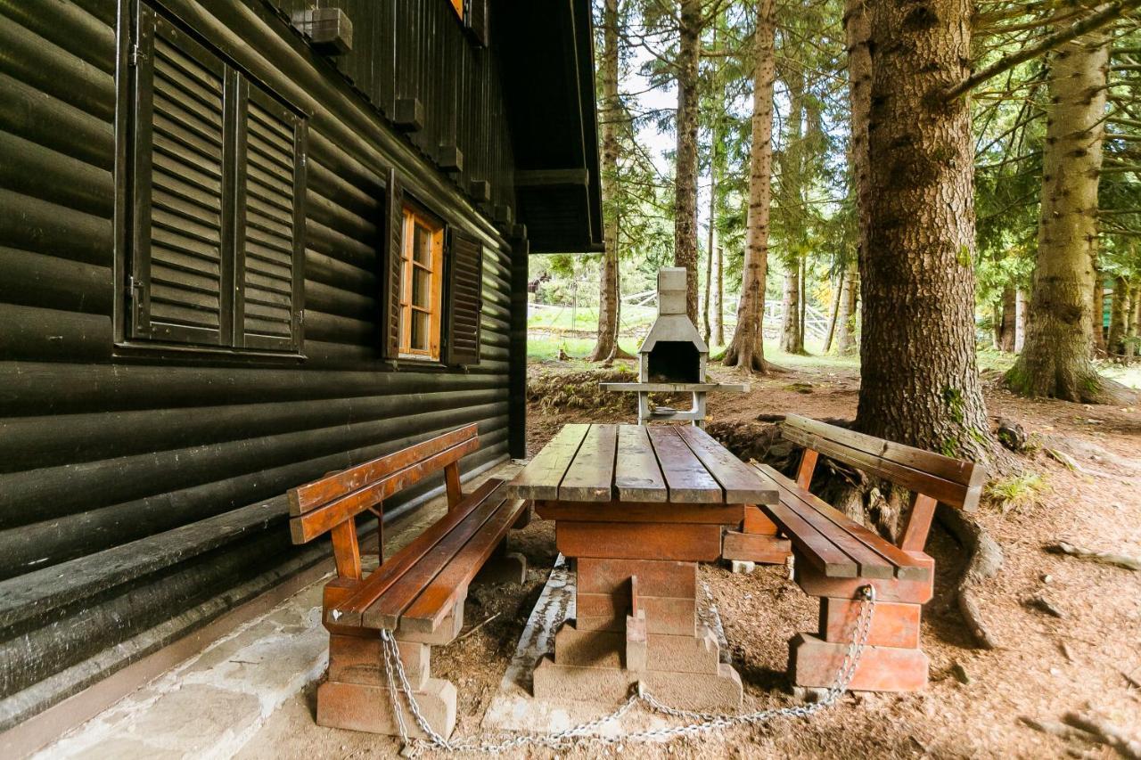 Chalet Liza & Rozi Zgornja Loznica Buitenkant foto